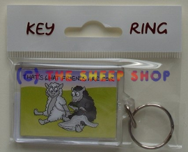 Thats what friends are for Keyring